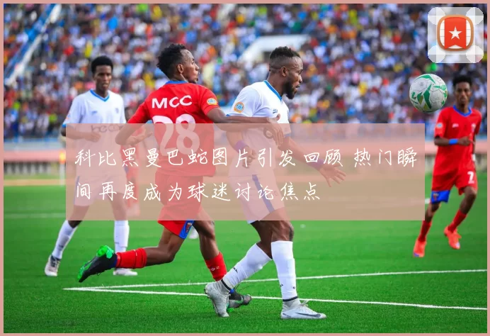 科比黑曼巴蛇图片引发回顾 热门瞬间再度成为球迷讨论焦点