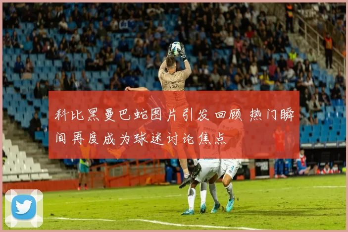 科比黑曼巴蛇图片引发回顾 热门瞬间再度成为球迷讨论焦点