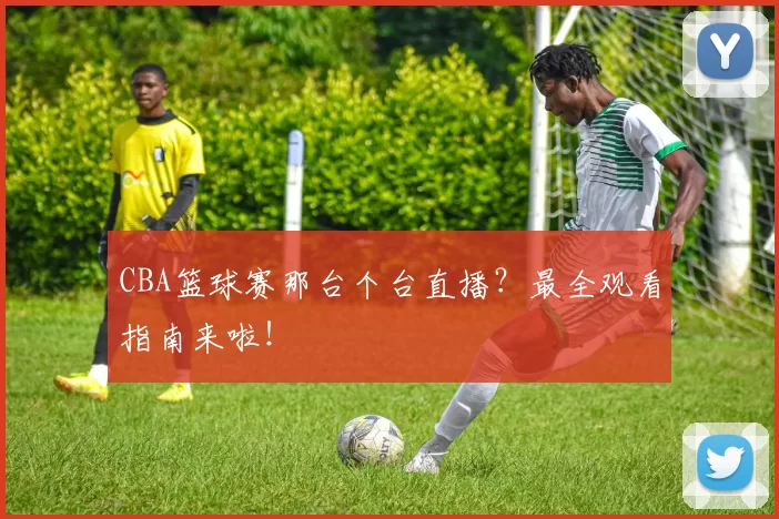 CBA篮球赛那台个台直播?最全观看指南来啦!